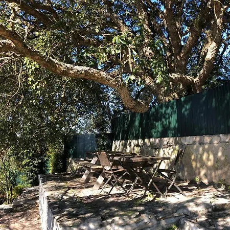 Casa Do Horizonte Проживание в семье Бомбаррал