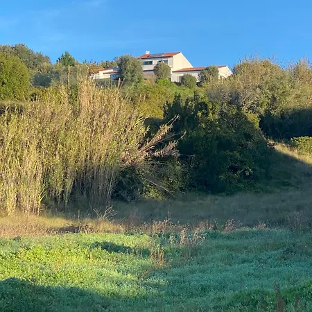 Проживание в семье Casa Do Horizonte Бомбаррал