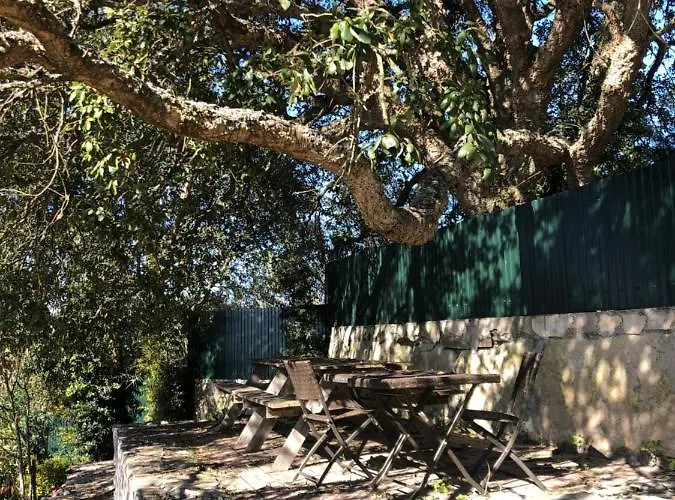 Casa Do Horizonte Pansiyon Bombarral