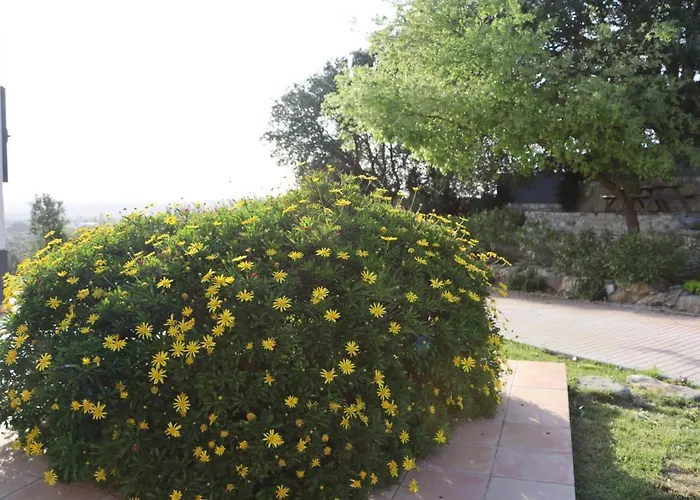 Casa Do Horizonte Pansiyon